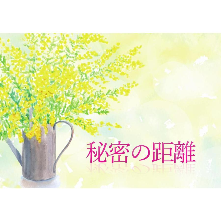 秘密の距離 (制作：きまぐれボックス) [送料ウエイト：3]