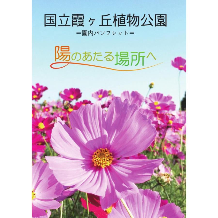 陽のあたる場所へ (制作：きまぐれボックス) [送料ウエイト：3]